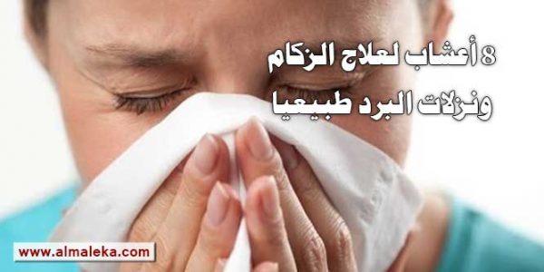 8 أعشاب لعلاج الزكام ونزلات البرد طبيعياً