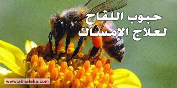 حبوب اللقاح لعلاج الإمساك المزمن عند الكبار والصغار