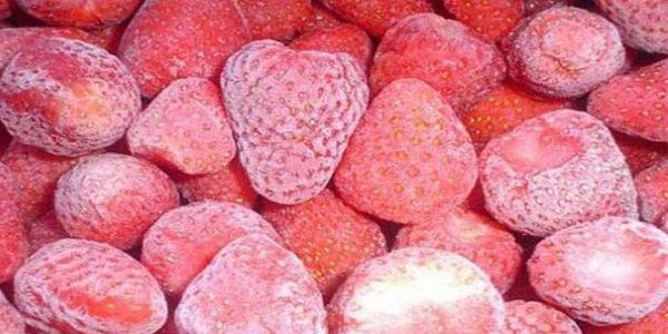 أساسيات تجميد الأطعمة بطريقة صحية وسليمة