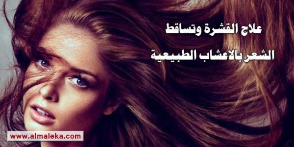 علاج القشرة وتساقط الشعر بالاعشاب الطبيعية