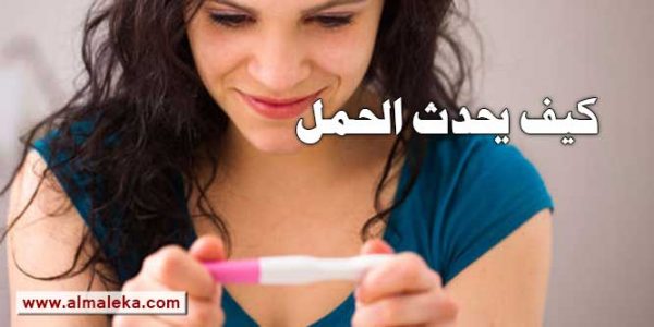كيف يحدث الحمل