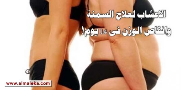 الاعشاب لعلاج السمنة وانقاص الوزن فى 14 يوم فقط!