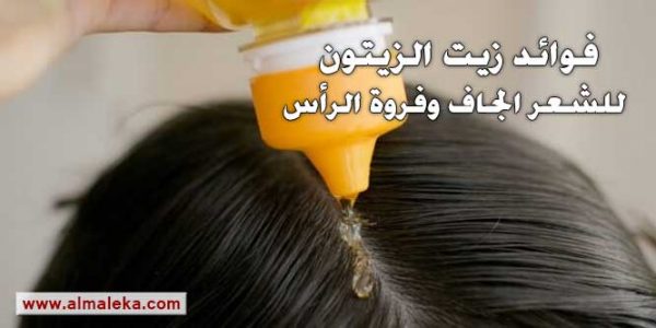 فوائد زيت الزيتون للشعر الجاف وفروة الرأس