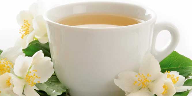13 فائدة مذهلة للشاي الأبيض النادر أهمها للرجيم وأمراض الشيخوخة